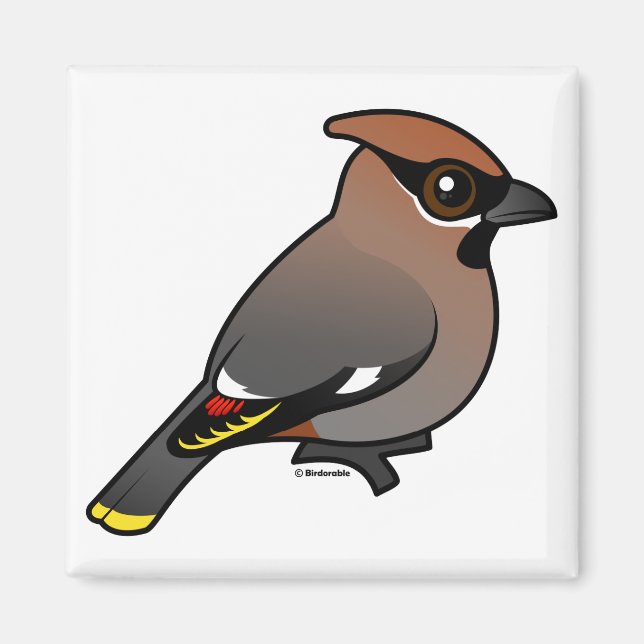 Imã Bohemian Waxwing (Frente)