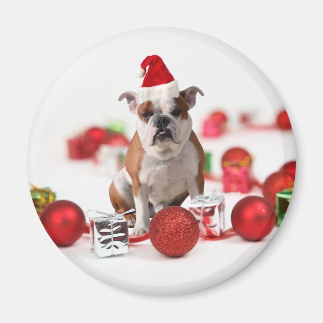 Imã Boias de Natal para Bulldog Ornamentos de Caixa Ve (Frente)