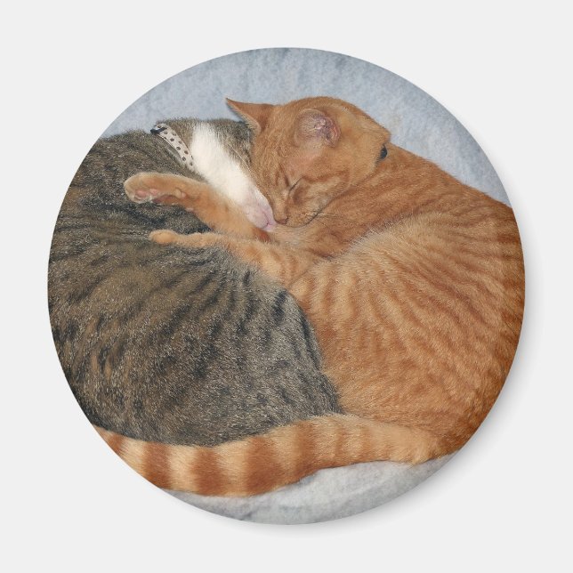 Imã Bola de Cuteness (Frente)