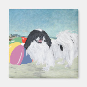 Imã Bola de Praia Japanese Chin