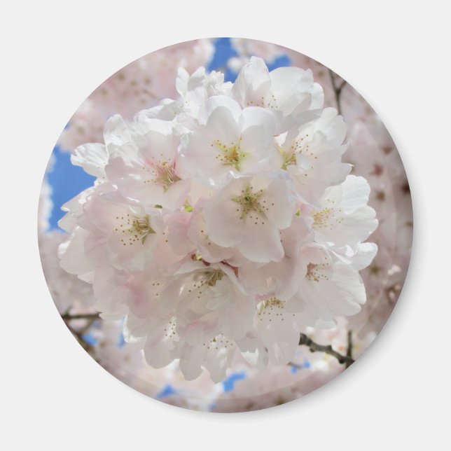 Imã Bolas de Flor Rosa. (Frente)