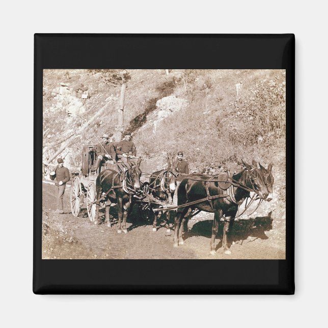 Imã Bolion Palco Coach Vintage (Frente)