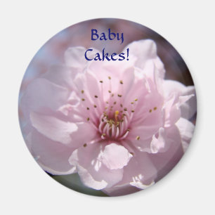 Imã BOLOS DE BEBÊ! Ímã Flores Cor-de-Rosa Ímãs da Prim