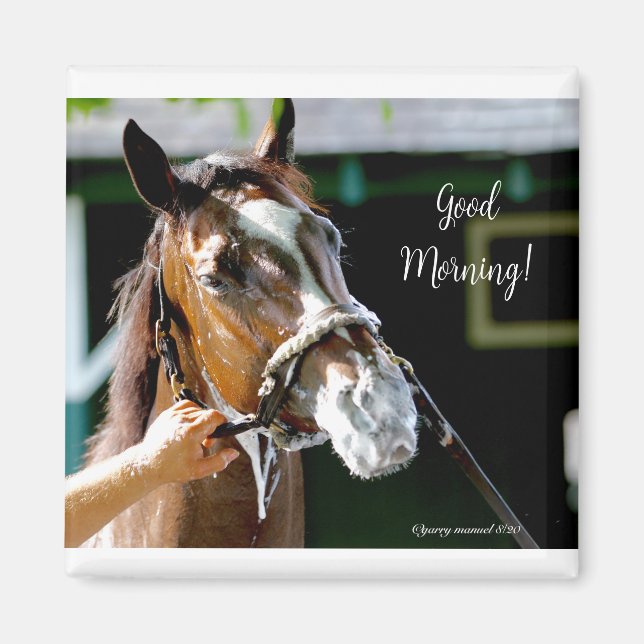 Imã Bom dia! Cavalo (Frente)