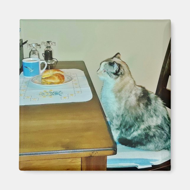 Imã Bom Manancial (Frente)