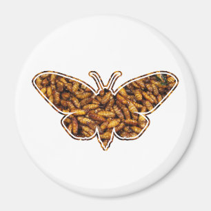 Imã Bombyx Mori Silk Moth Life Cycle Silhoule