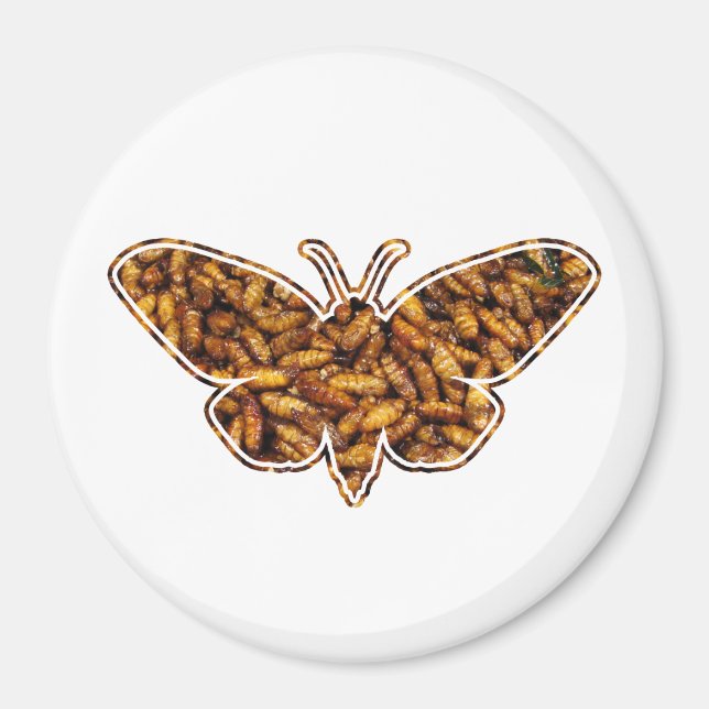 Imã Bombyx Mori Silk Moth Life Cycle Silhoule (Frente)