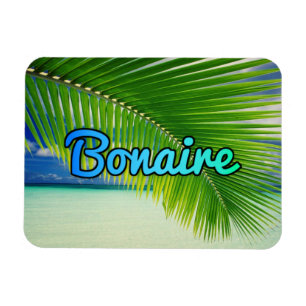 Ímã Bonaire