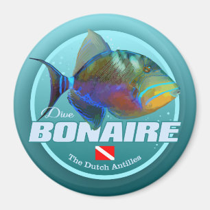 Imã Bonaire (DD2)