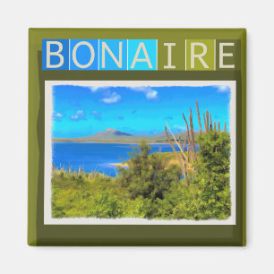 Imã Bonaire Watercolor