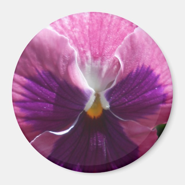 Imã Bonheur (Frente)