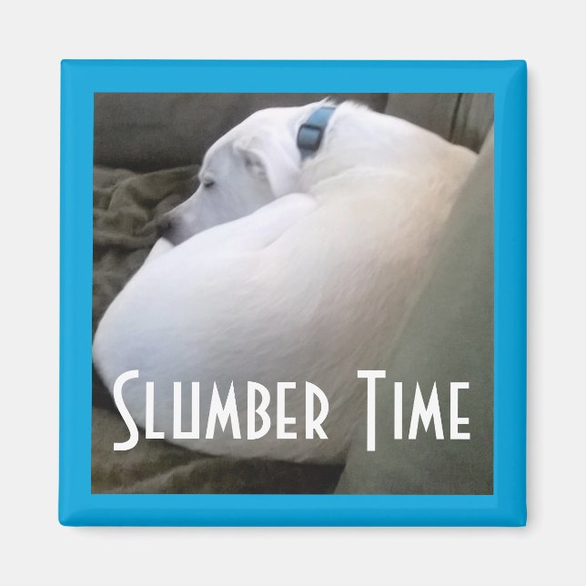 Imã Bonita Chubby White Dormindo Cachorro Cachorro Cac (Frente)