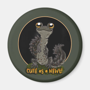 Imã Bonita como um Newt!