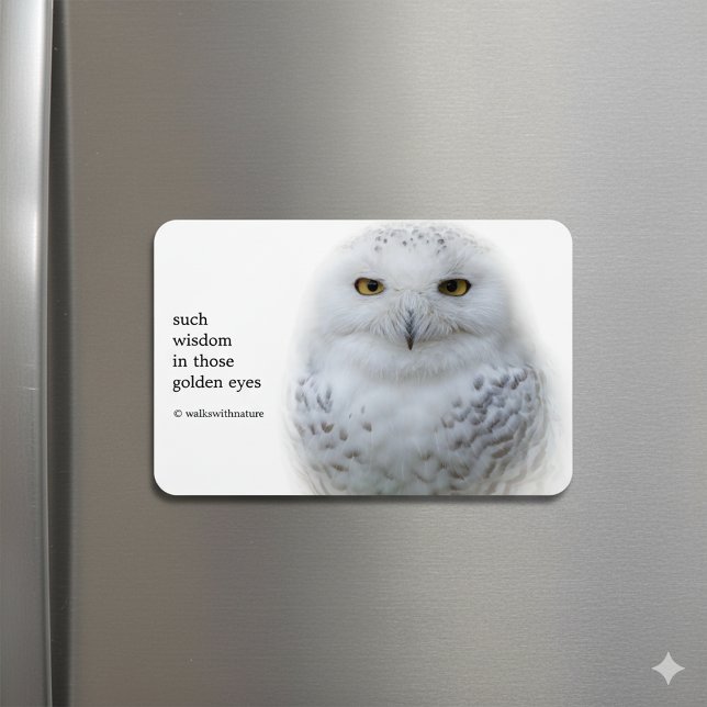 Ímã Bonita, Dreamy e Serene Snowy Owl (Snowy Owl Magnet on Fridge Cover Photo)