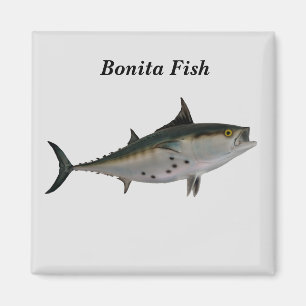 Imã Bonita Fish Magnet
