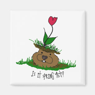 Imã Bonita Groundhog à procura de Primavera