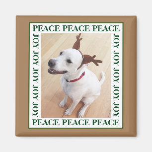 Imã Bonita Rebelde Branca Cachorro Cachorro Paz Joy Br