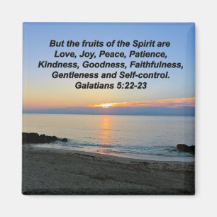 IMÃ BONITAS FRUTAS SUNRISS DO SPIRIT MAGNET