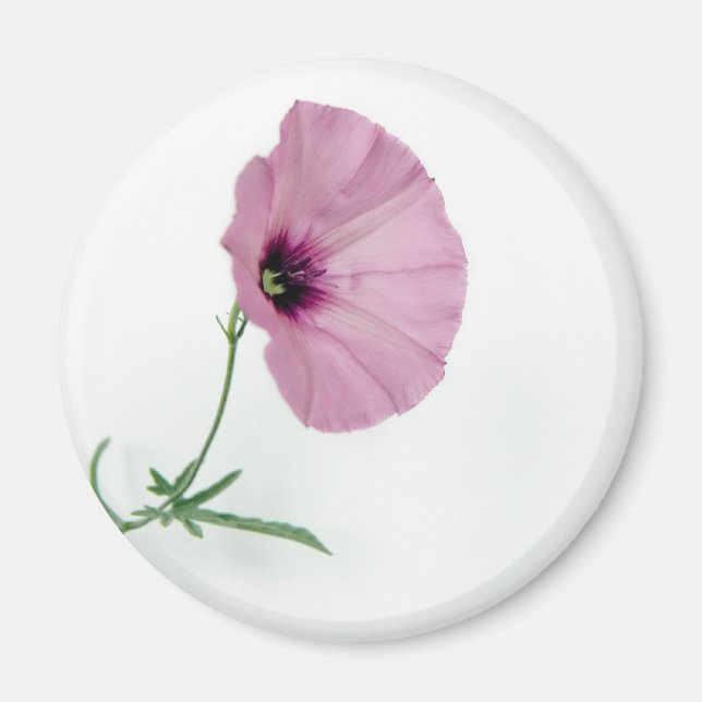 Imã Bonito a rosa (Frente)