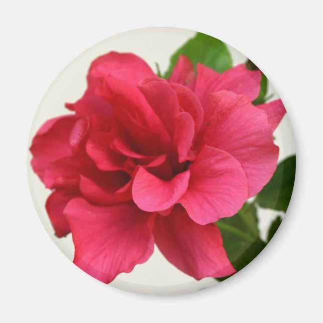 Imã Bonito a rosa - ímã (Frente)