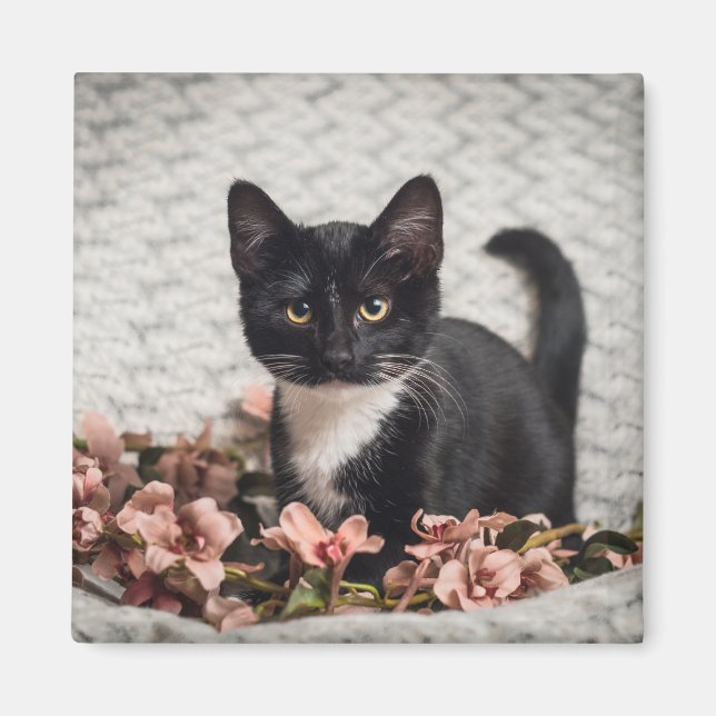 Imã Bonito Bella Rosa (Frente)