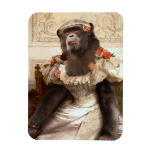 Ímã Bonito chimpanzé em Gown