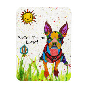 Ímã bonito e colorido de Boston Terrier