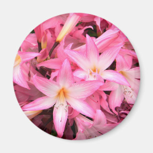 Imã Bonito em rosa...