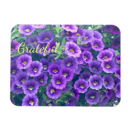 Ímã Bonito Gratidão Púrpura Petunia
