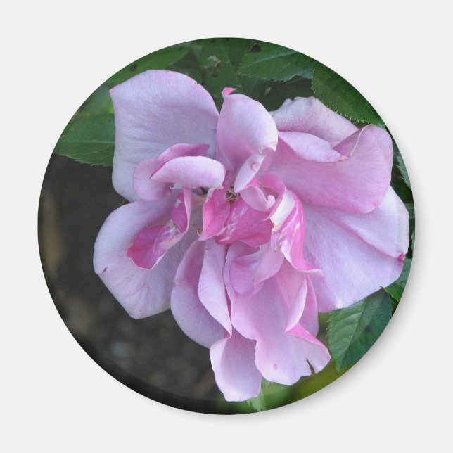 Imã Bonito Lady 092 (Frente)