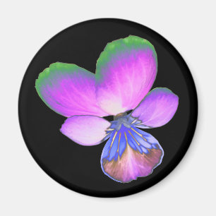Imã Bonito Magnet Pansy