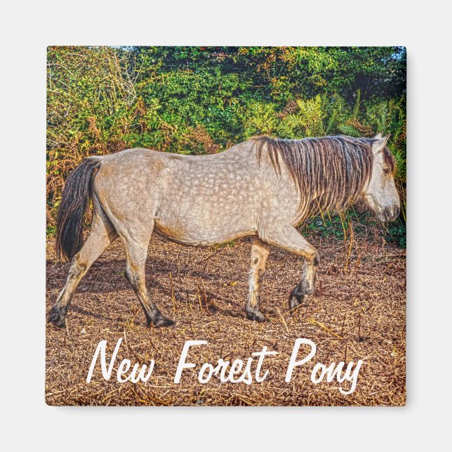 Imã Bonito Presente de Aroma de Equinos (Frente)