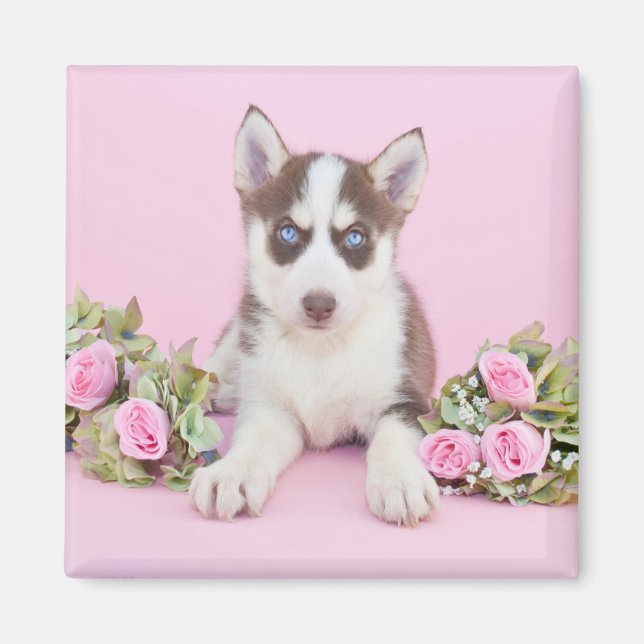 Imã Bonito Rouco com Rosas Rosa (Frente)