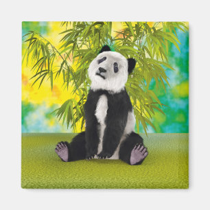 Imã Bonito Urso de Panda Kawaii Amante de os animais p