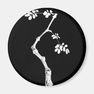 Imã Bonsai
