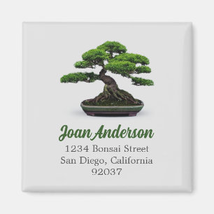 Imã Bonsai Tree