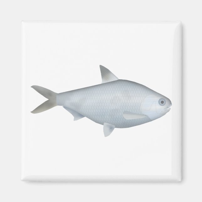 Imã Bony Bream (Frente)