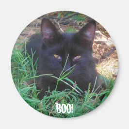 IMÃ BOO! MAGNET DE GATINHO PRETO