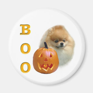 Imã Boo Pomerano