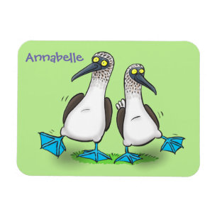Ímã Boobies footed azuis engraçados, felizes que
