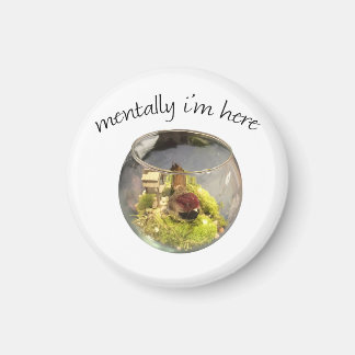 Imã borb planetarium