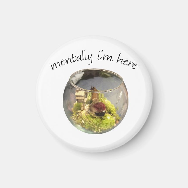 Imã borb planetarium (Frente)