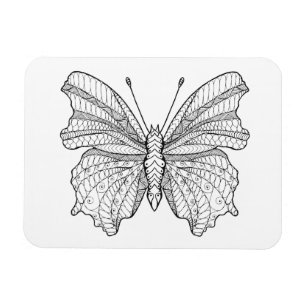 Ímã Borboleta 3 do estilo