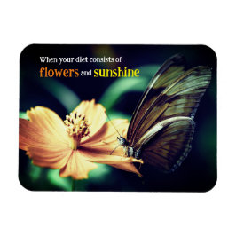 Ímã Borboleta alimentando flores
