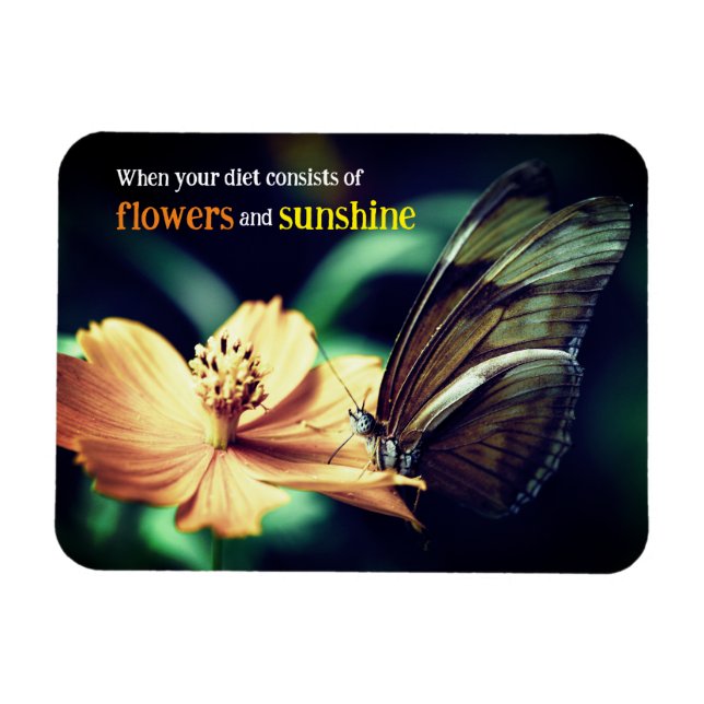 Ímã Borboleta alimentando flores (Horizontal)