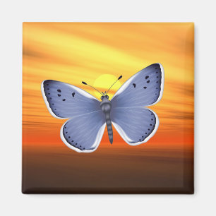 Imã Borboleta azul