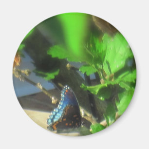 Imã Borboleta azul
