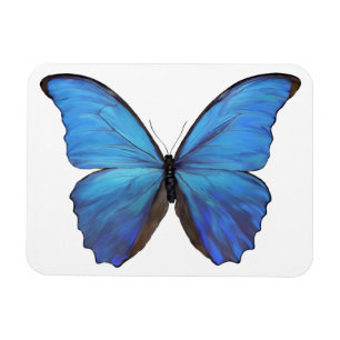 Ímã Borboleta Azul do Magnet