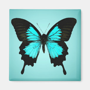 Imã Borboleta - azul e preto de turquesa