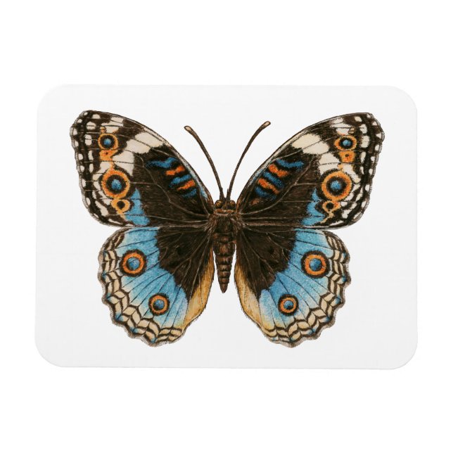 Ímã Borboleta Azul Pansy (Horizontal)